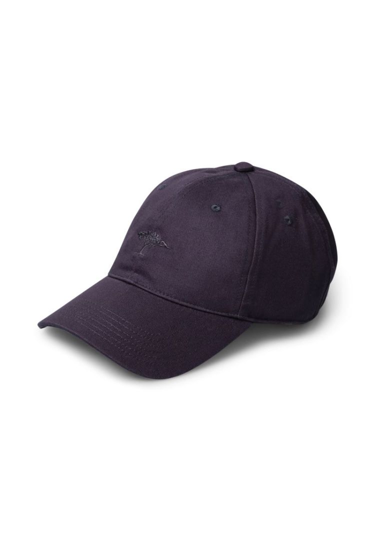 New Tree Cap 685 navy