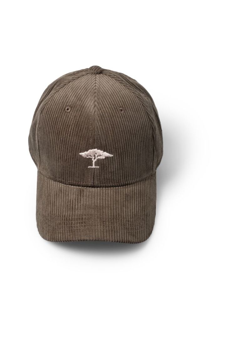 Corduroy Cap 749 cypress