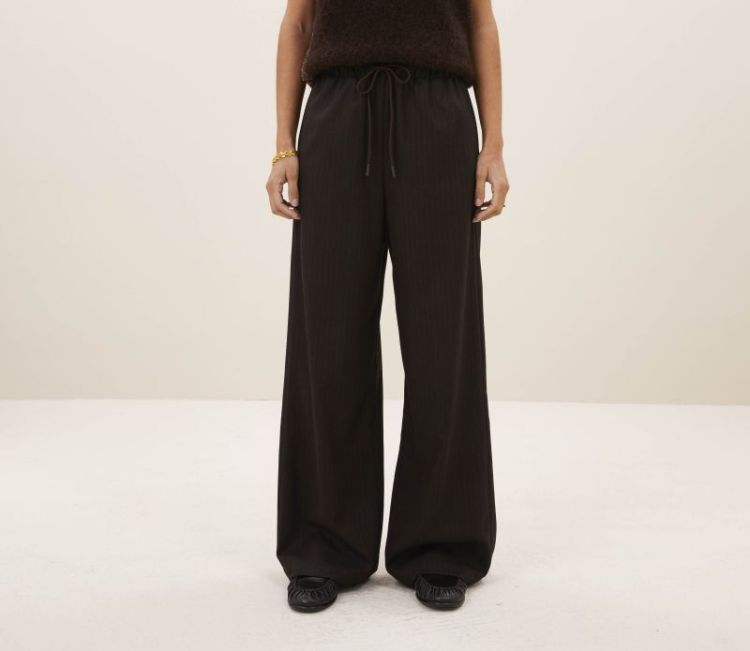 PELLE PINSTRIPE PANTS 1728 brown pins