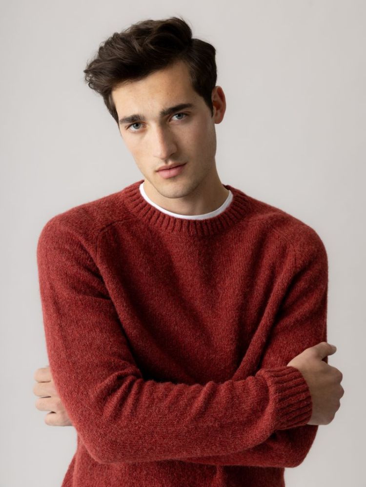 CARLOS CREW NECK KNIT 276 Burnt Russe