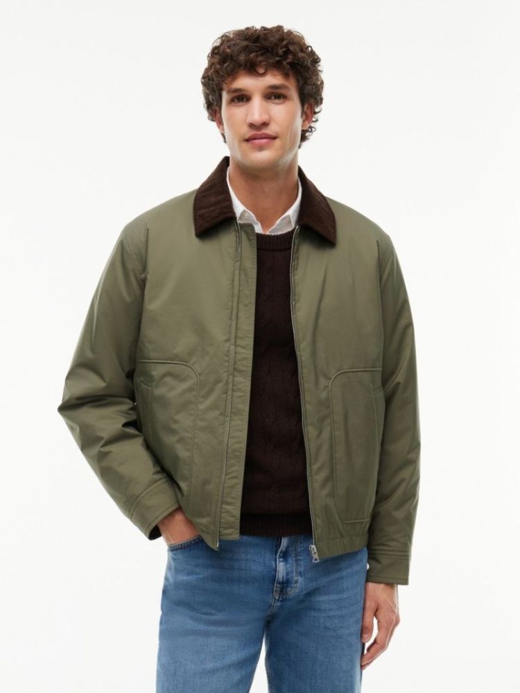 SURPLUS PADDED IVY PLI